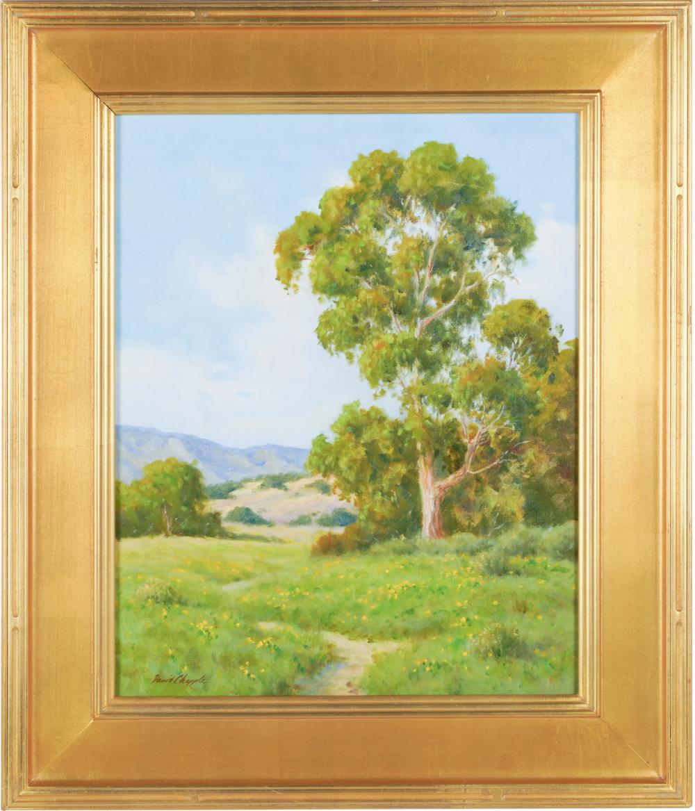 Appraisal: DAVID CHAPPLE B SERENITY oil on board signed lower left