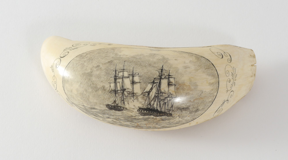 Appraisal: MADRUGA GOMES SCRIMSHAW WHALE TOOTH Finely detailed scene of clipper