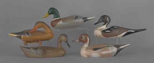 Appraisal: Five contemporary carved and painted duck decoys one signed Chesapeake