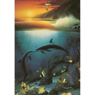 Appraisal: Wyland Print Framed Kissing Dolphins print Wyland Imprinted name lower