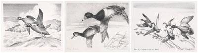 Appraisal: Federal duck stamp prints - quot Harlequin Ducks quot with