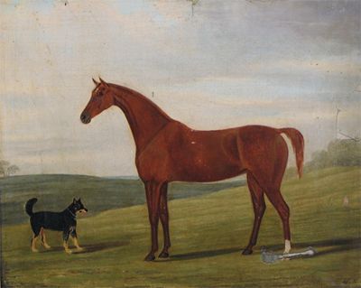 Appraisal: W Feltons th Century A bay racehorse and a terrier