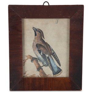 Appraisal: American School th Century Miniature Picture of a Perched Cedar