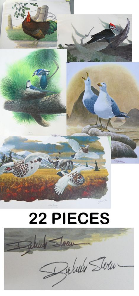 Appraisal: DAVID SLOAN LARGE LITHOS OF BIRDS SIGNED They measure X