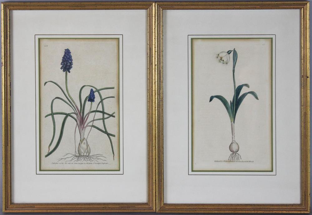 Appraisal: A GROUP OF FOUR BOTANICAL PRINTS Largest X in sight