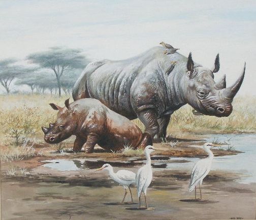 Appraisal: David Parry British b Rhinoceros Egret watercolor heightened w white