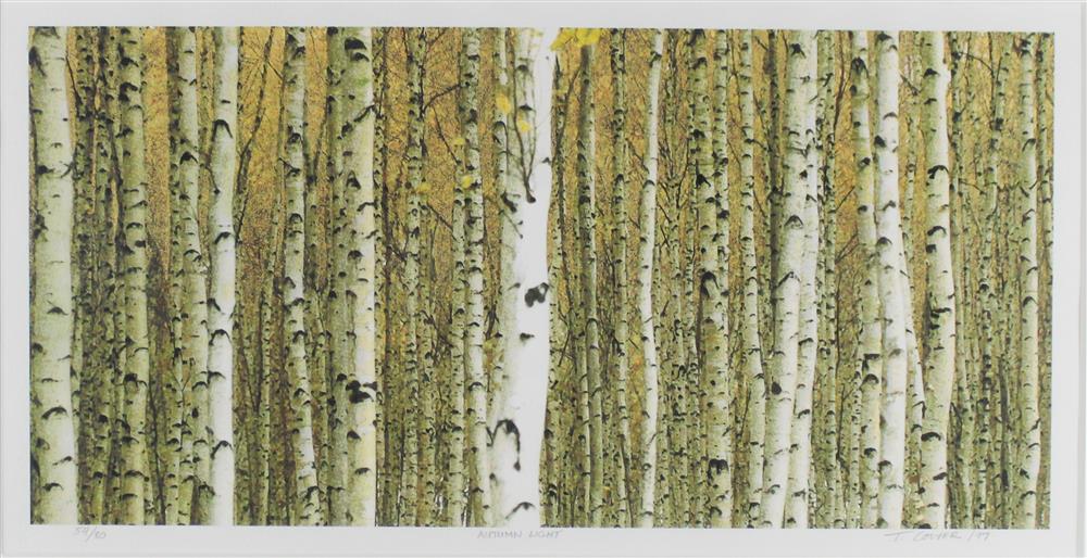 Appraisal: TED COLYER CANADIAN - AUTUMN LIGHT Lithograph x in plate