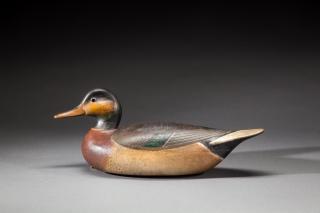 Appraisal: Bemaculated Duck by Mark S McNair b Bemaculated DuckMark S