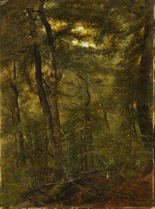 Appraisal: th Century School Wooded Landscape Oil on board signed MacEntee