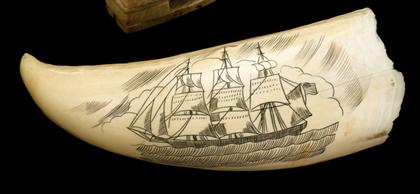 Appraisal: Scrimshaw toothIncised with three masted ship flying the American flag