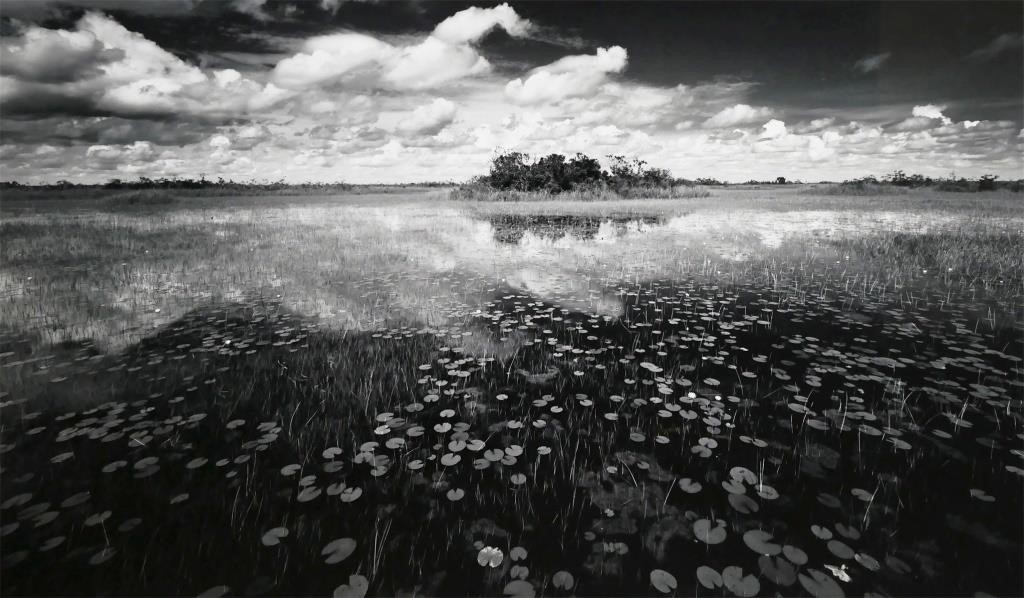 Appraisal: Loxahatchee Wildlife Refuge by Clyde Butcher American b Print size