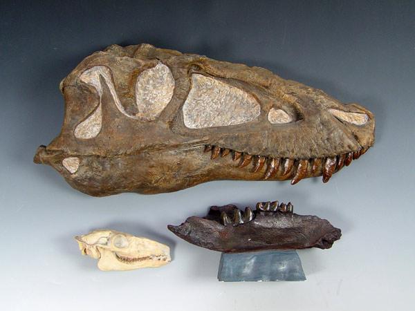 Appraisal: COLLECTION OF CAST FOSSILS T-REX CAMEL All cast replicas To