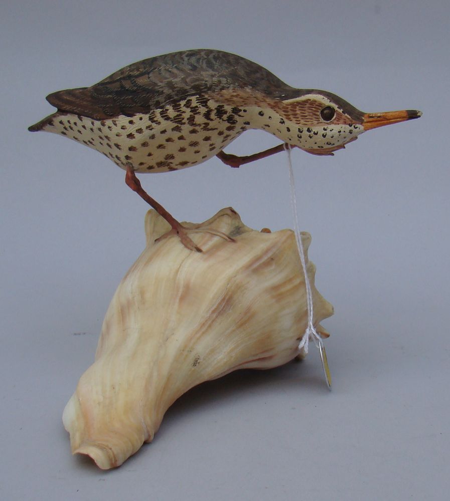 Appraisal: DECORATIVE PURPLE SANDPIPER Mounted on a conch shell base Maker