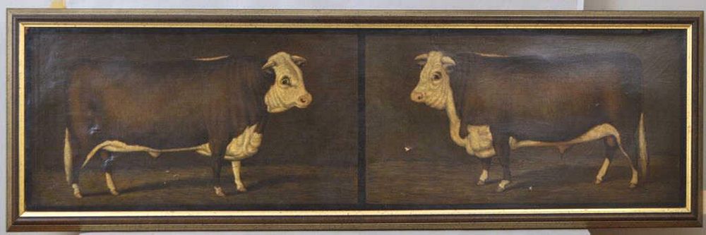 Appraisal: English Folk Art Painting O C Two Bulls prized bull