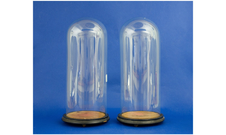 Appraisal: Pair of Victorian Glass Domes On wooden bases Each is