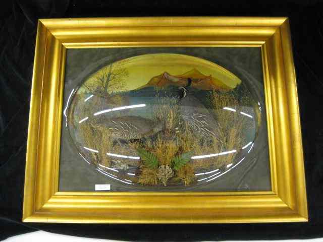 Appraisal: Taxidermy Artwork of Birds Foliage oil painting of mountains in