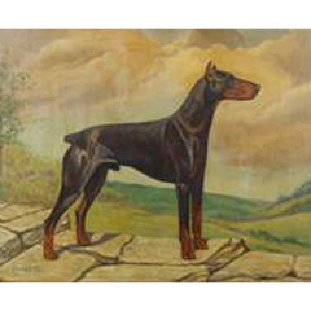 Appraisal: ENNO MEYER AMERICAN OHIO - CHAMPION TOPPO V SIGALSBURG DOBERMAN