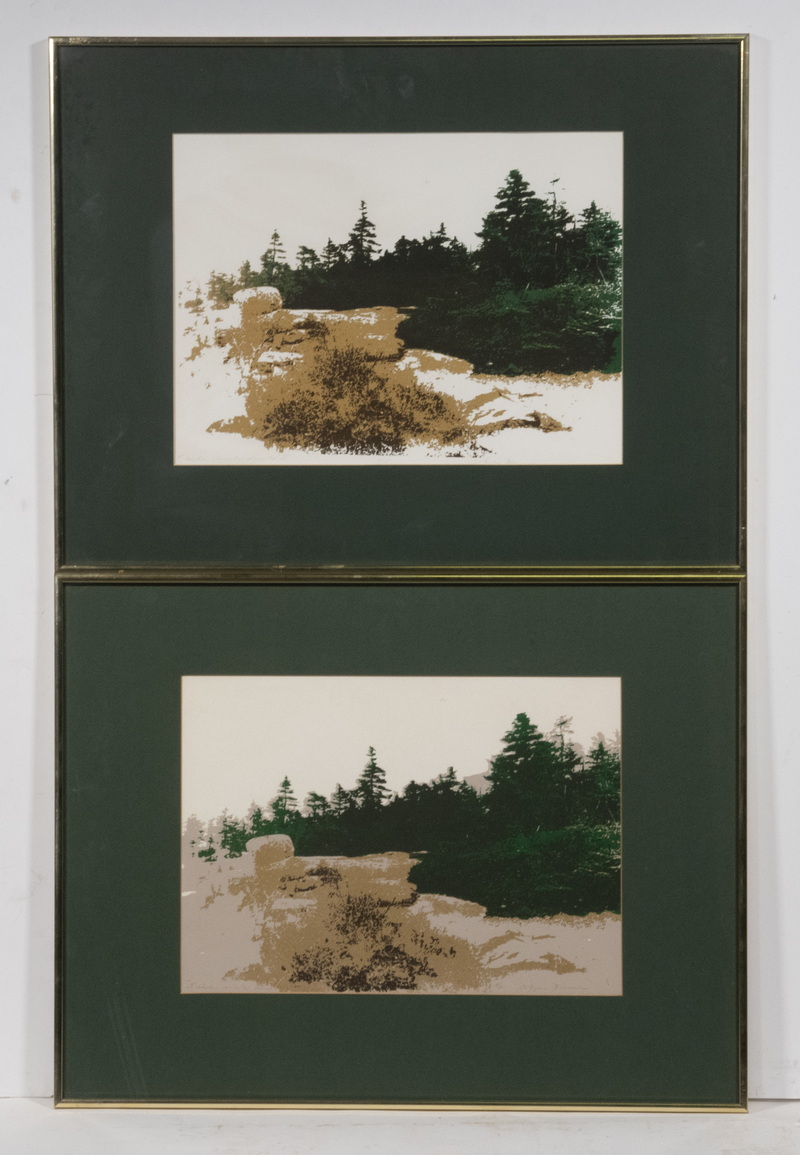 Appraisal: B RYAN FREEMAN TH C CANADA Serigraphs of Mount Desert