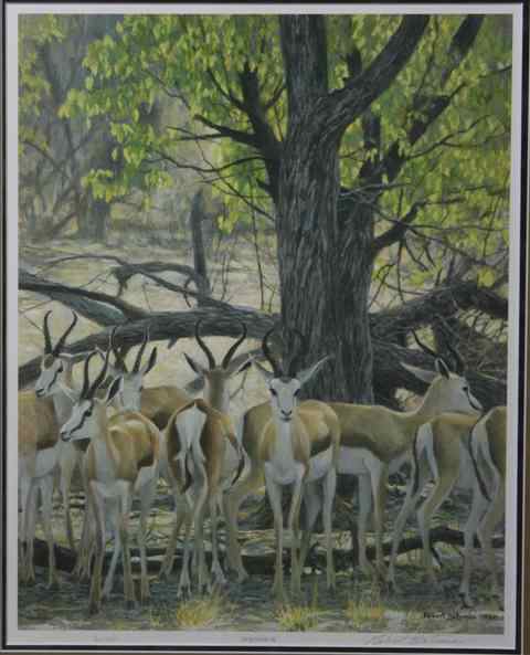 Appraisal: ROBERT BATEMAN CANADIAN SPRINGBOK Chromolithograph x in sight Framed lower