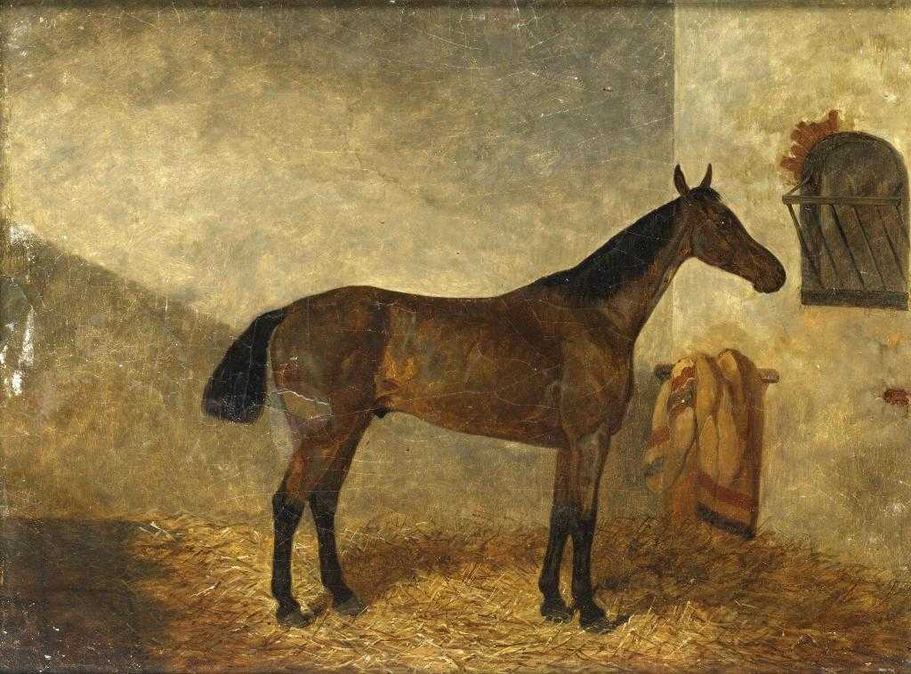 Appraisal: THOMAS HILLIER MEW FL - PORTRAIT OF A SADDLED GREY