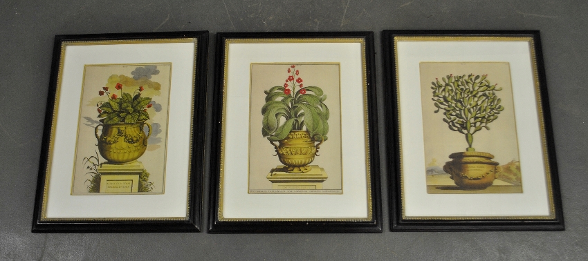 Appraisal: - Three framed French floral prints th c Site- x