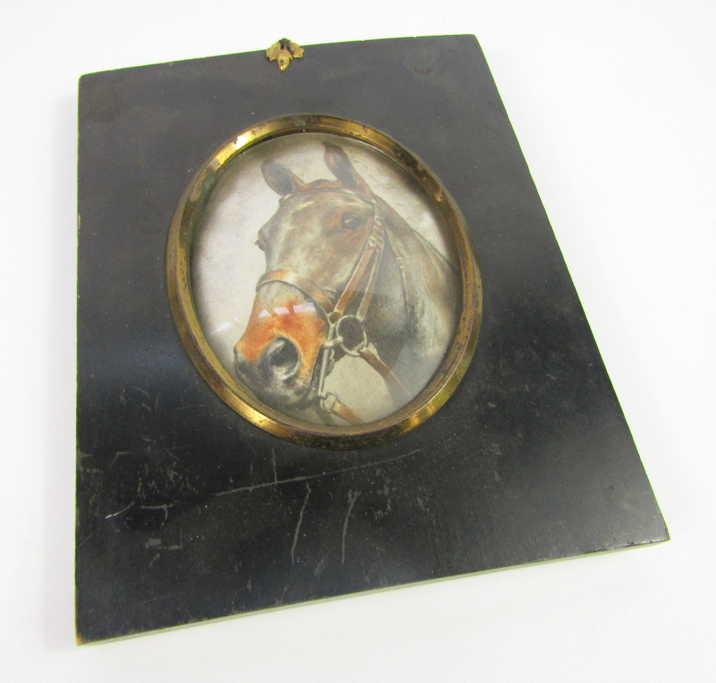 Appraisal: English School Study of a horse's head watercolour oval cm