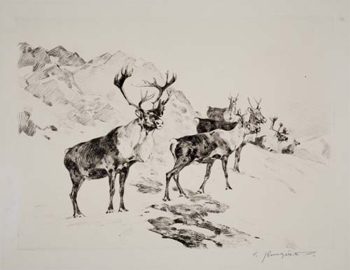 Appraisal: CARL RUNGIUS Osborne's Antelope Etching and drypoint x mm x