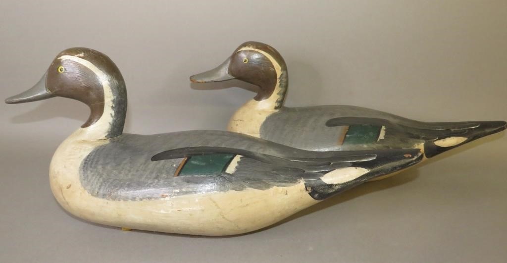 Appraisal: PAIR OF SPRIG TAIL OR PIN TAIL WORKING DECOY BY