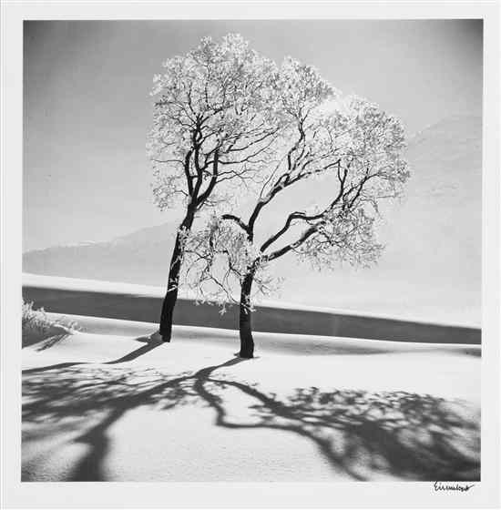 Appraisal: Alfred Eisenstaedt American - Trees in Snow St Moritz Switzerland