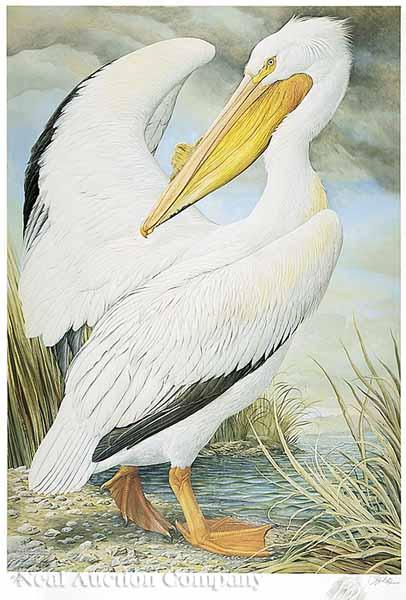 Appraisal: After Basil Ede British b White Pelican color reproduction print