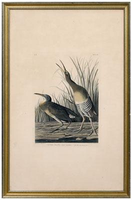 Appraisal: Havell edition Audubon print quot Salt Water Marsh Hen quot