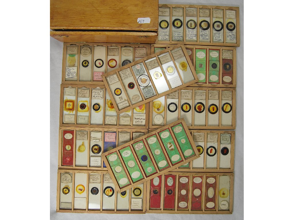 Appraisal: An interesting collection of Victorian microscope slides contained in a