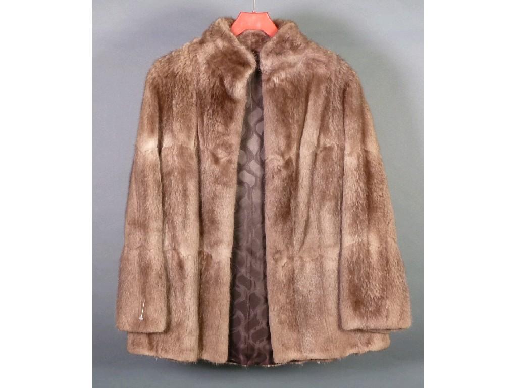 Appraisal: LIGHT SILVER BROWN MUSQUASH FLANK FUR JACKET size with standing