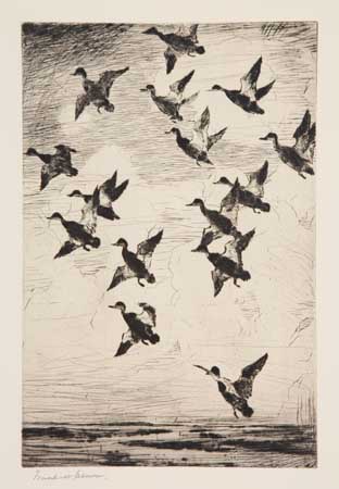 Appraisal: FRANK W BENSON Black Ducks Towering Drypoint on cream laid