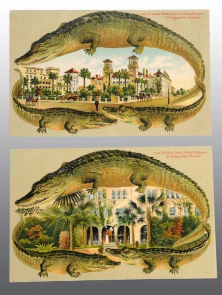 Appraisal: Lot of Florida Alligator Postcards Description Includes S two S