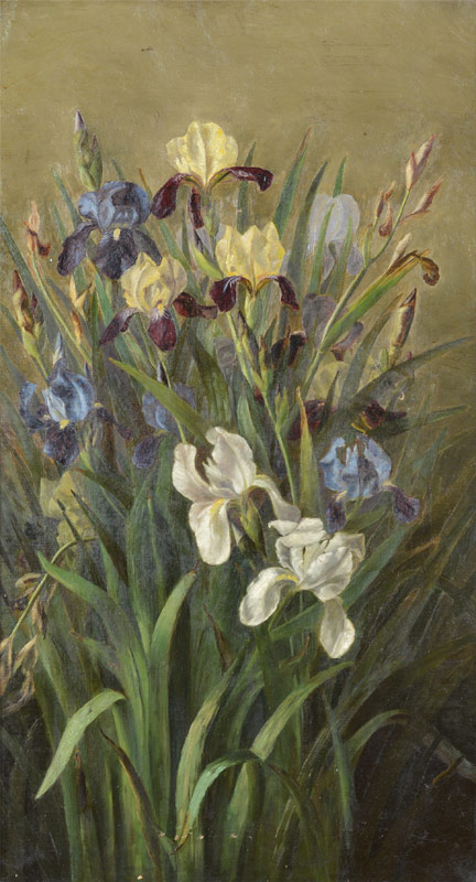 Appraisal: GOOD TH CENTURY STILL LIFE PAINTING OF IRIS Oil Canvas