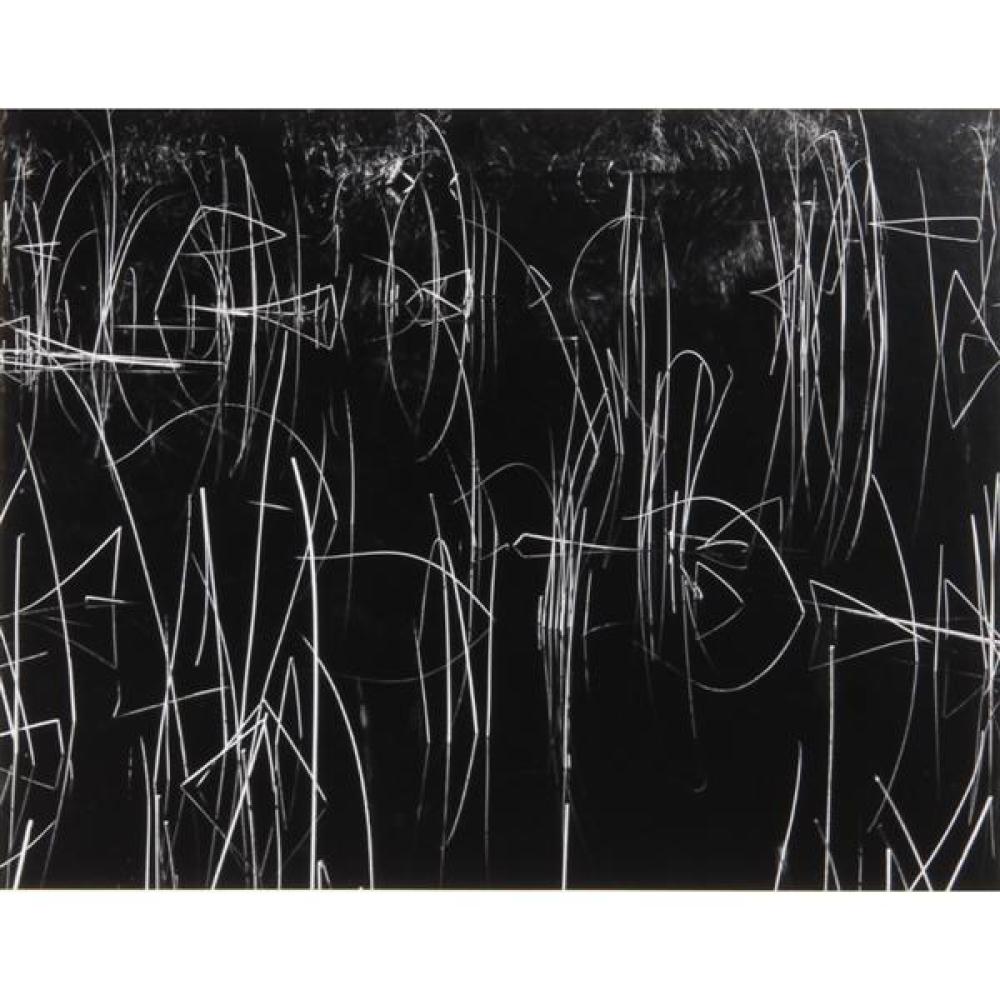 Appraisal: BRETT WESTON AMERICAN - REEDS OREGON SILVER PRINT IN AN