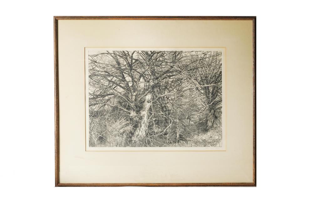 Appraisal: PATRICIA TOBACCO FORESTER LAST WARREN TREES etching signed in pencil