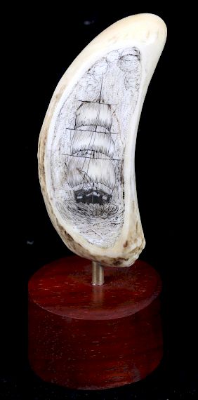 Appraisal: Ancient Sperm Whale Tooth Scrimshaw For your bidding pleasure is