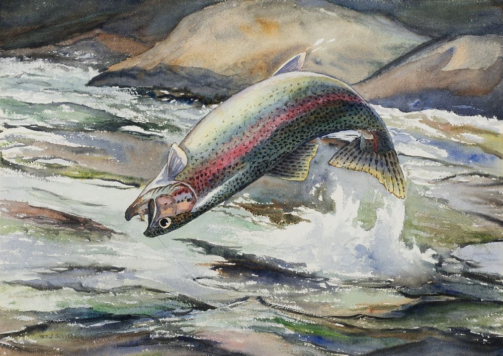 Appraisal: William J Schaldach Leaping Rainbow Trout Pike William J Schaldach