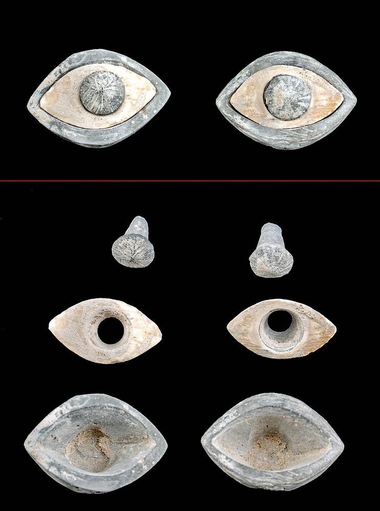 Appraisal: Pair of Egyptian Late Dynastic Stone Eyes First Time At