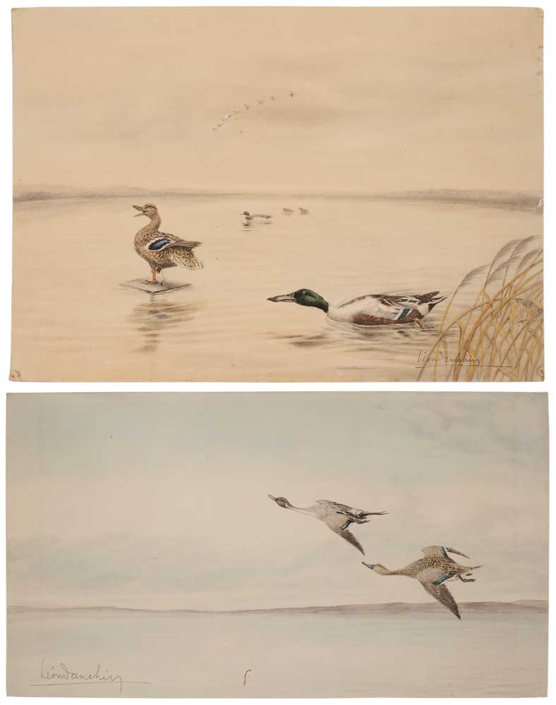 Appraisal: Leon Dauchin French - two watercolors over charcoal Mallard Trap