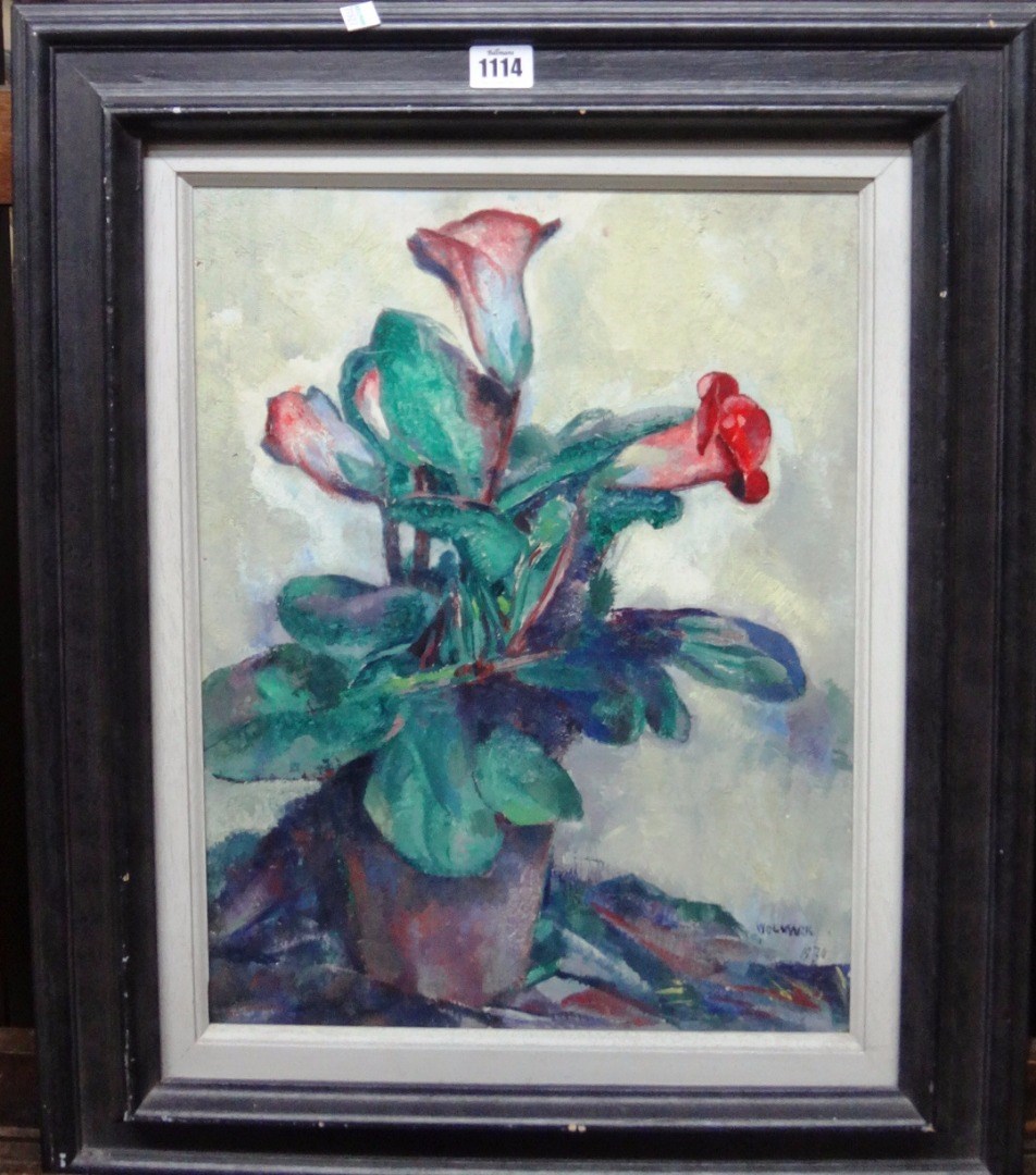 Appraisal: Alfred Wolmark - Still life of Gloxinia oil on panel