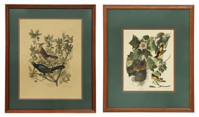 Appraisal: lot of Framed prints on paper after John James Audubon