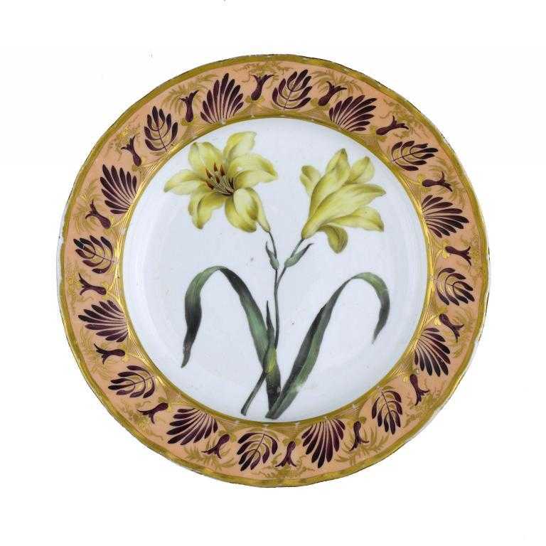 Appraisal: A DERBY BOTANICAL PLATE painted with a specimen of the