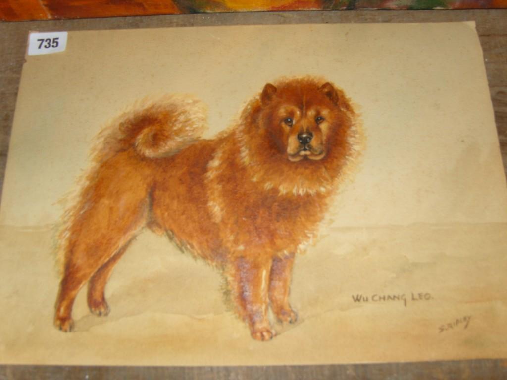 Appraisal: A watercolour study of a standing chow signed S Ripley