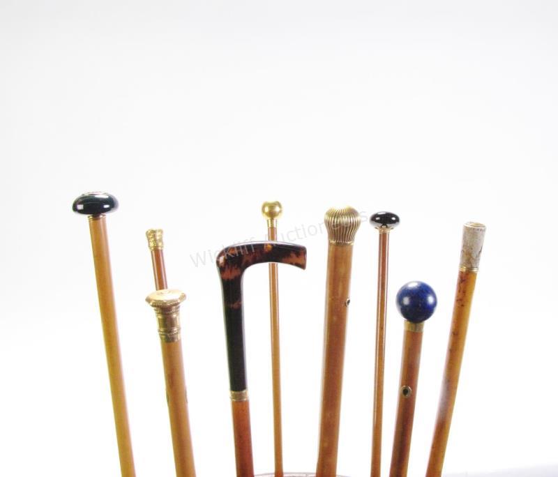 Appraisal: Collection of Nine Charles Tallyrand Canes these canes belonged to