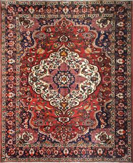 Appraisal: Persian Bakhtiari carpet Persian Bakhtiari carpet ' x '