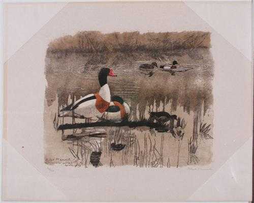 Appraisal: HAINARD ROBERT Geneva - Gland Ducks Woodcut Signed Robert Hainard