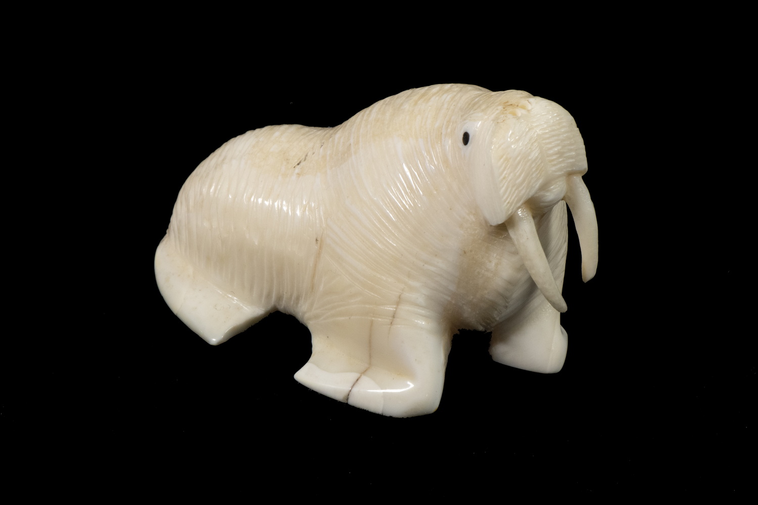 Appraisal: INUIT SCULPTURE OF A WALRUS BY PAUL ROOKOK Yuit Siberian